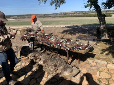 2020-02-21-Pheasant-Tower-Shoot-18-results.JPG