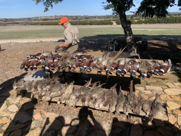 2020-02-21-Pheasant-Tower-Shoot-19-results.JPG