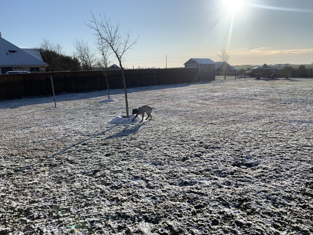 2020/02(February)/Snow-in-Hutto/1024x768_2020-02-06-Great-Snowstorm-of-2020-4-Blaze.JPG