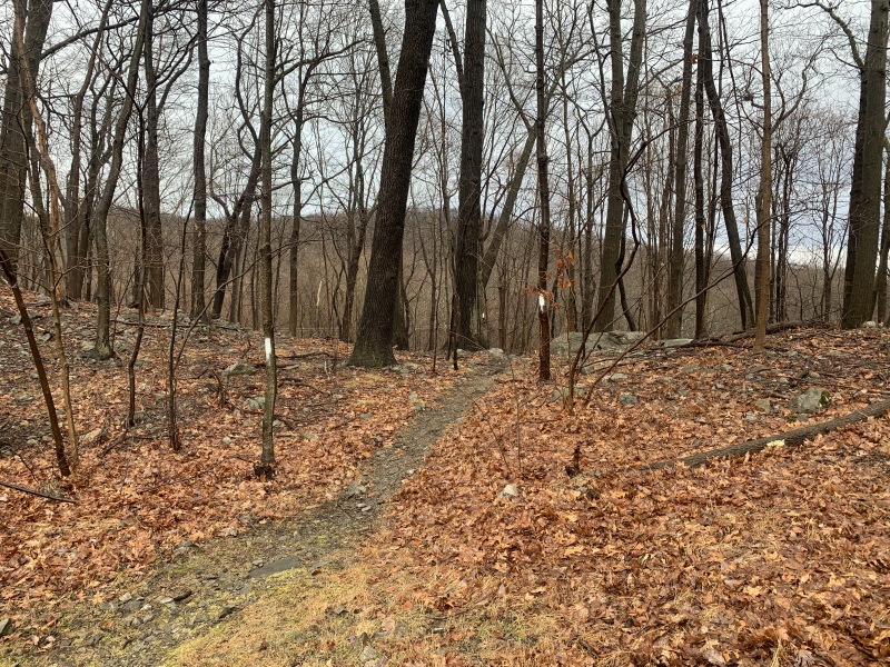 2020/02(February)/VA-Castle-Point-NY-Appalachian-Trail/800x600_2020-02-13-Castle-Point-Appalachian-Trail-11.JPG