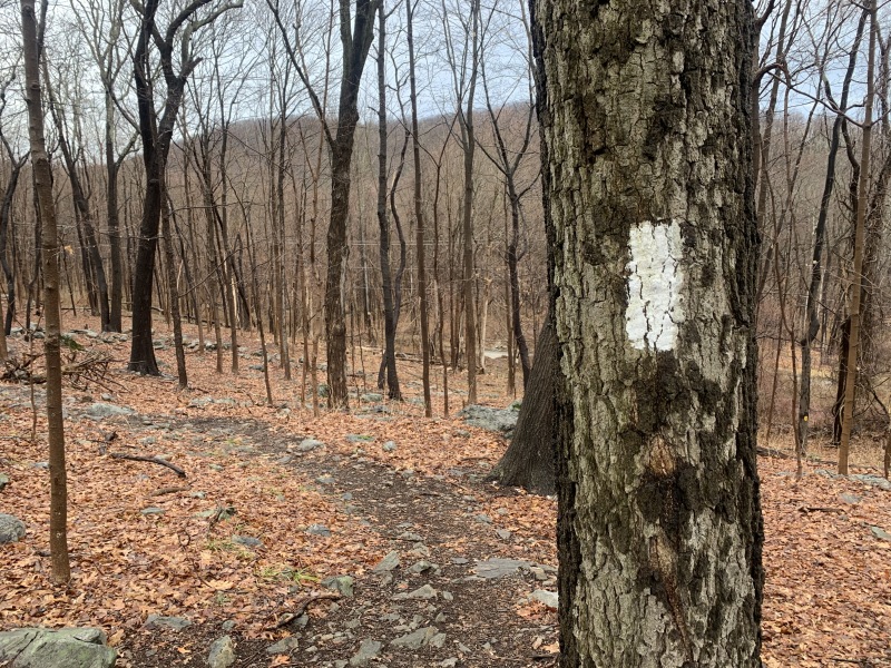 2020/02(February)/VA-Castle-Point-NY-Appalachian-Trail/800x600_2020-02-13-Castle-Point-Appalachian-Trail-13.JPG