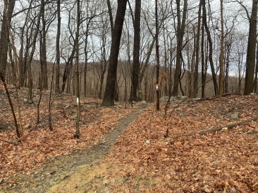2020-02-13-Castle-Point-Appalachian-Trail-11.JPG