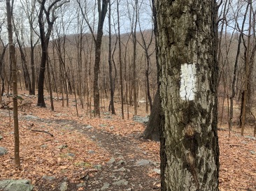 2020-02-13-Castle-Point-Appalachian-Trail-13.JPG