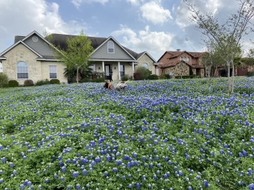 2020-03-18-Bluebonnets-3-Blaze-Chance.JPG