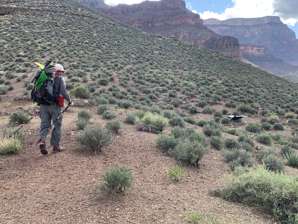 2020/03(March)/Grand-Canyon-Crew-8787/1024x768_2020-03-17-Grand-Canyon-Crew8787-55-Carl-crow.JPG