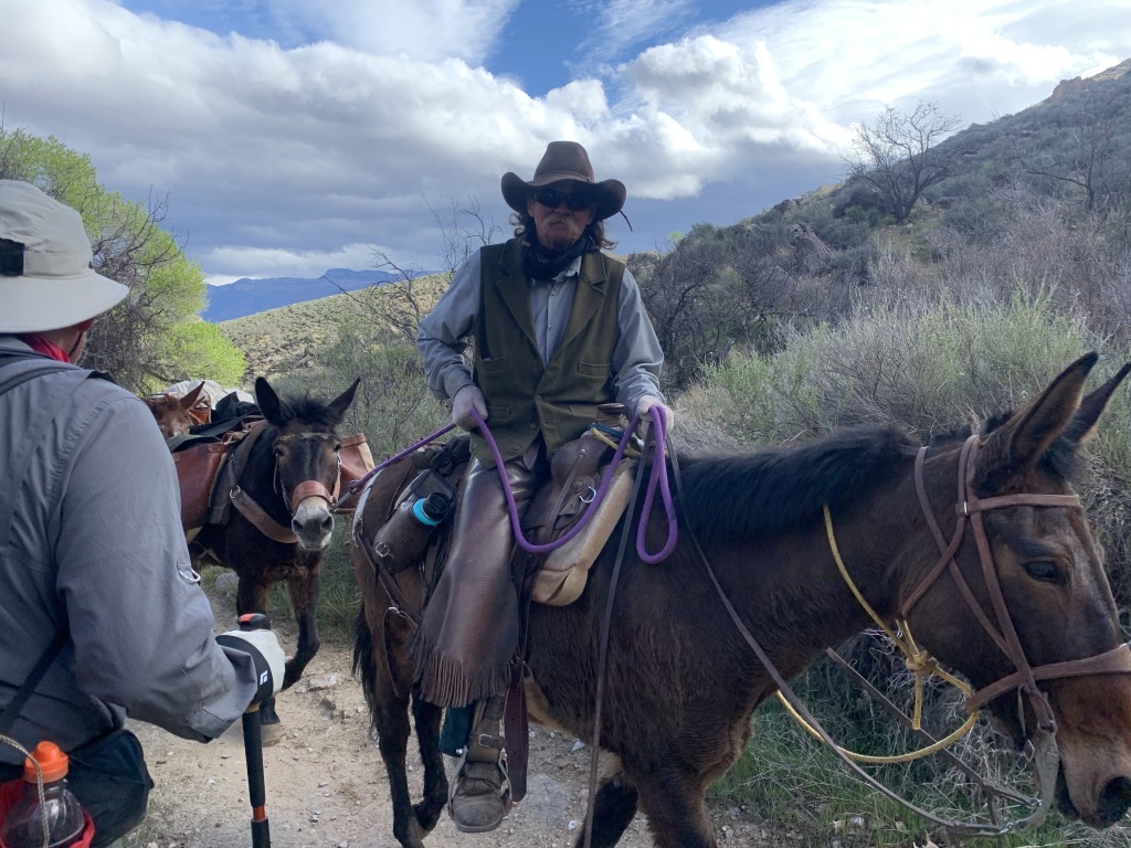 2020-03-18-Grand-Canyon-Crew8787-048-mules-Carl.JPG