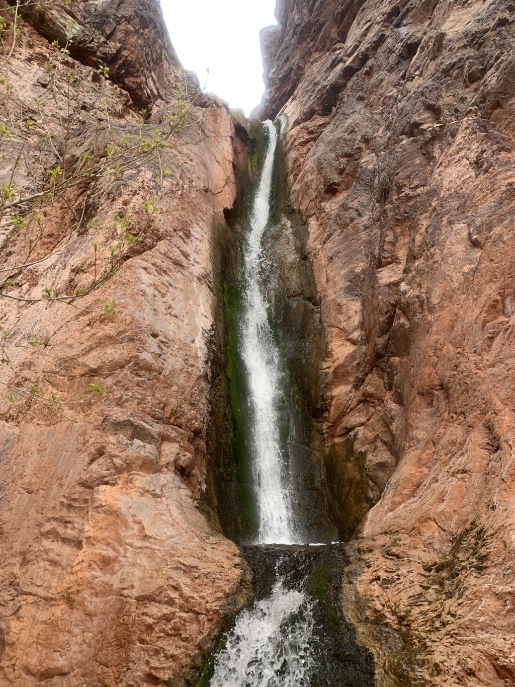2020/03(March)/Grand-Canyon-Crew-8787/1024x768_2020-03-19-Grand-Canyon-Crew8787-105-Upper-Ribbon-Falls.JPG