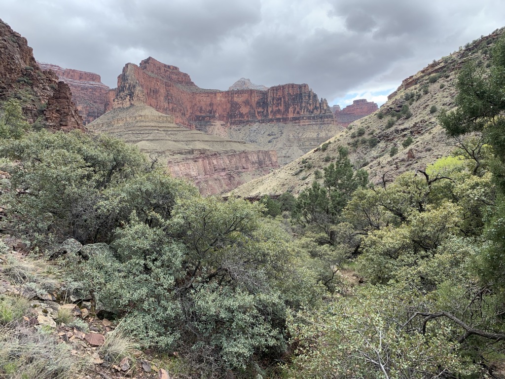 2020/03(March)/Grand-Canyon-Crew-8787/1024x768_2020-03-19-Grand-Canyon-Crew8787-110.JPG