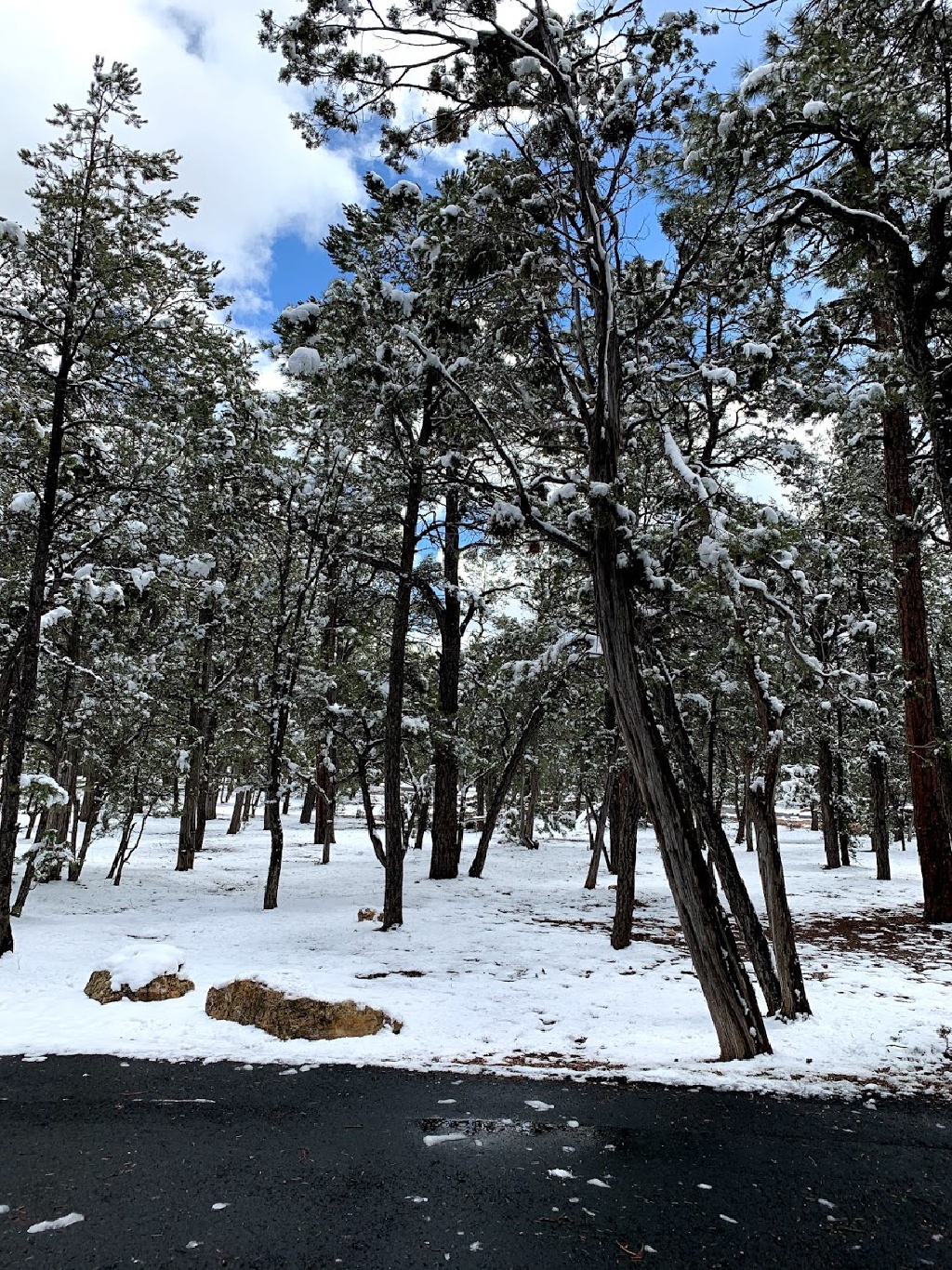 2020-03-99-Grand-Canyon-Crew8787-27.jpg