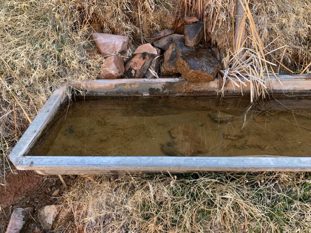 2020-03-16-Grand-Canyon-Crew8787-27-horse-trough-water.JPG