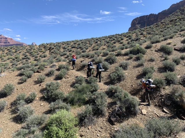 2020/03(March)/Grand-Canyon-Crew-8787/640x480_2020-03-17-Grand-Canyon-Crew8787-28-Izzy-Addison-Nicole-Dax.JPG