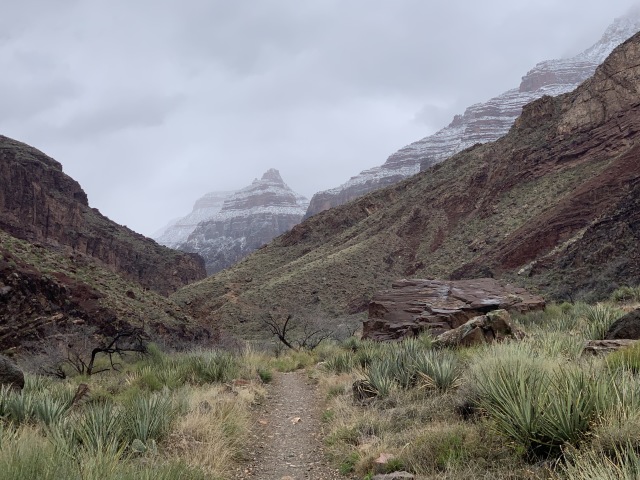 2020-03-19-Grand-Canyon-Crew8787-009-snowtop.JPG