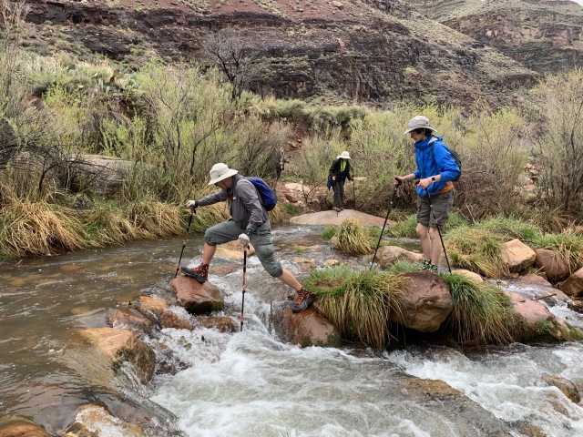2020-03-19-Grand-Canyon-Crew8787-013-crossing-stream-to-ribbon-falls-Carl-Dax-Izzy.JPG
