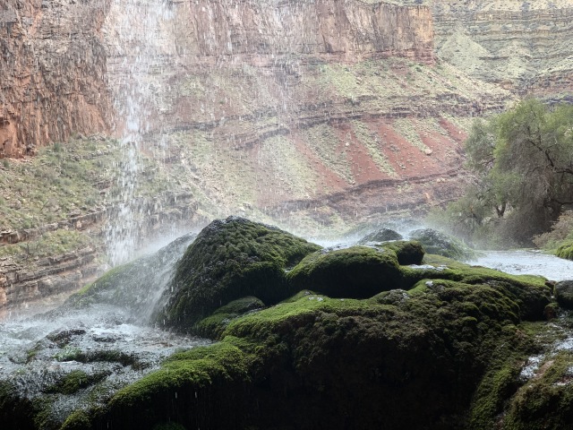 2020/03(March)/Grand-Canyon-Crew-8787/640x480_2020-03-19-Grand-Canyon-Crew8787-064-Ribbon-Falls.JPG