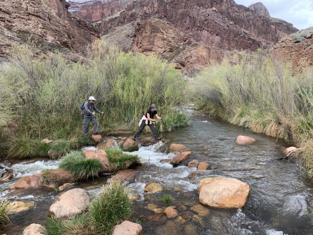 2020/03(March)/Grand-Canyon-Crew-8787/640x480_2020-03-19-Grand-Canyon-Crew8787-118-Carl-Addison.JPG