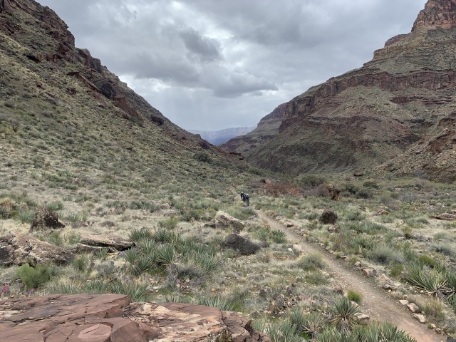 2020-03-19-Grand-Canyon-Crew8787-123.JPG