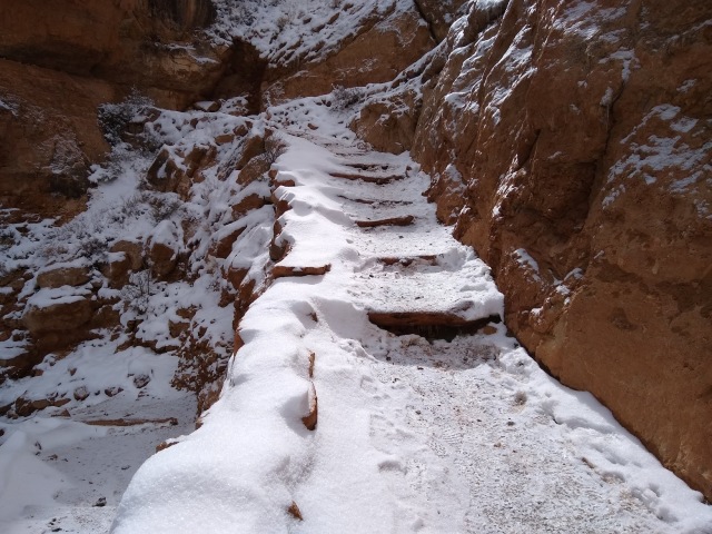 2020-03-99-Grand-Canyon-Crew8787-53.jpg