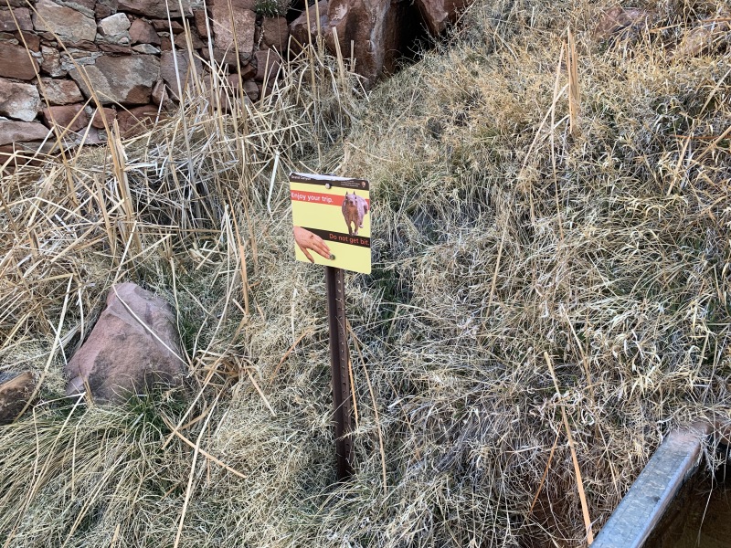 2020-03-16-Grand-Canyon-Crew8787-28.JPG