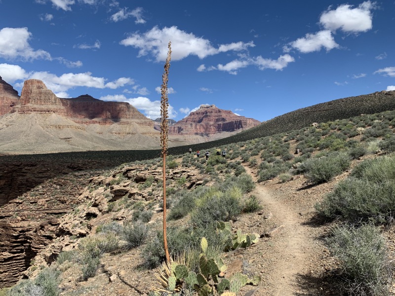 2020/03(March)/Grand-Canyon-Crew-8787/800x600_2020-03-17-Grand-Canyon-Crew8787-30-Nicole-Dax-Izzy-Addison.JPG
