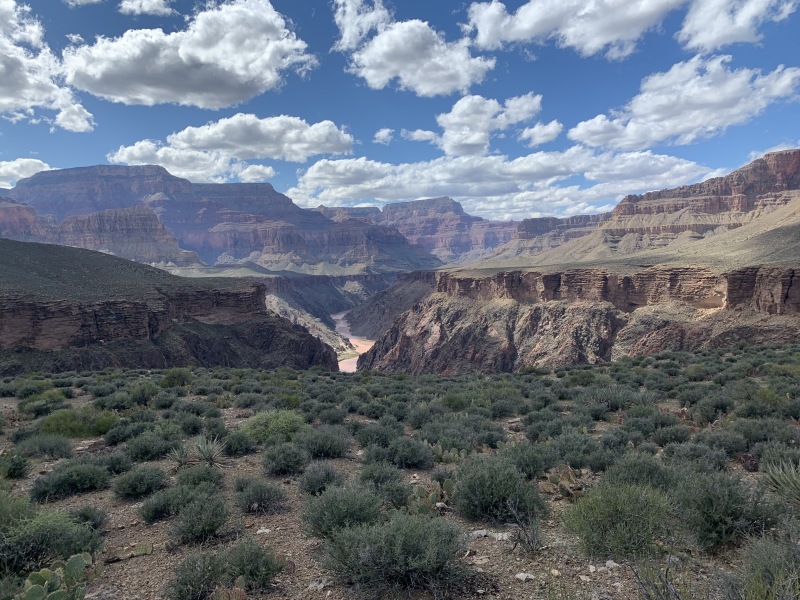 2020/03(March)/Grand-Canyon-Crew-8787/800x600_2020-03-17-Grand-Canyon-Crew8787-45.JPG