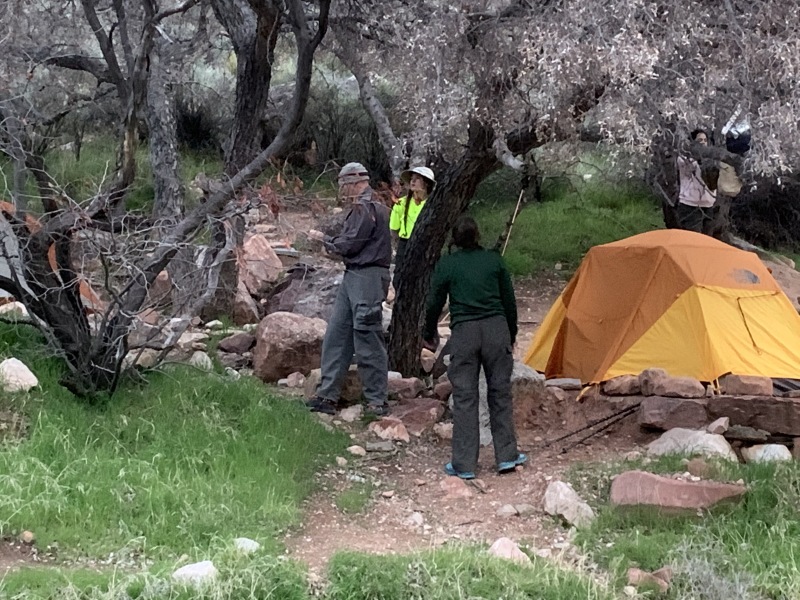 2020/03(March)/Grand-Canyon-Crew-8787/800x600_2020-03-17-Grand-Canyon-Crew8787-62-Carl-Izzy-Nicole.JPG