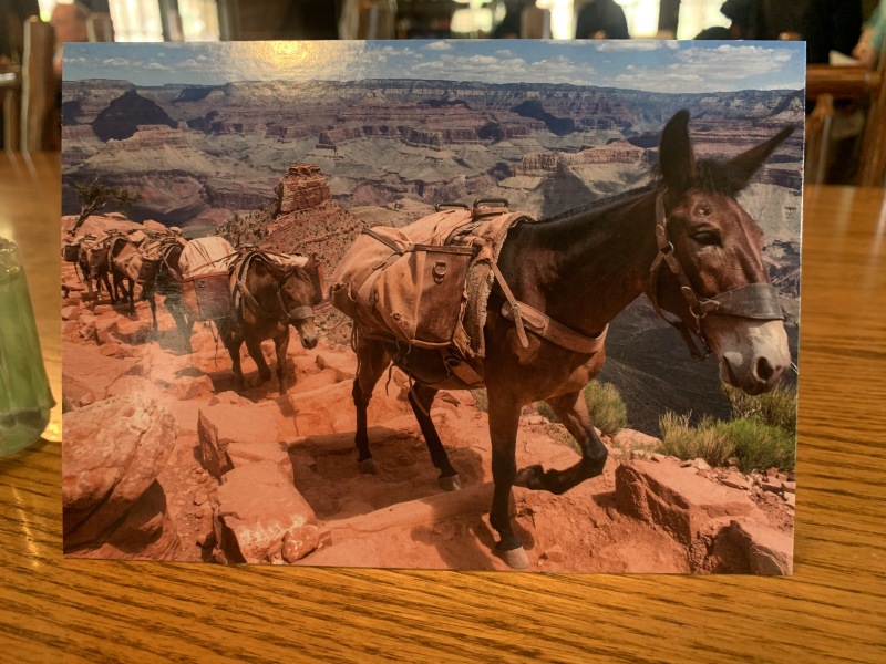 2020/03(March)/Grand-Canyon-Crew-8787/800x600_2020-03-18-Grand-Canyon-Crew8787-094-postcard.JPG