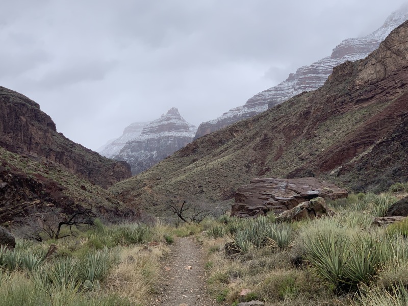 2020-03-19-Grand-Canyon-Crew8787-009-snowtop.JPG