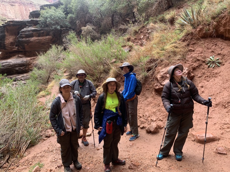 2020/03(March)/Grand-Canyon-Crew-8787/800x600_2020-03-19-Grand-Canyon-Crew8787-023-Ribbon-Falls.JPG