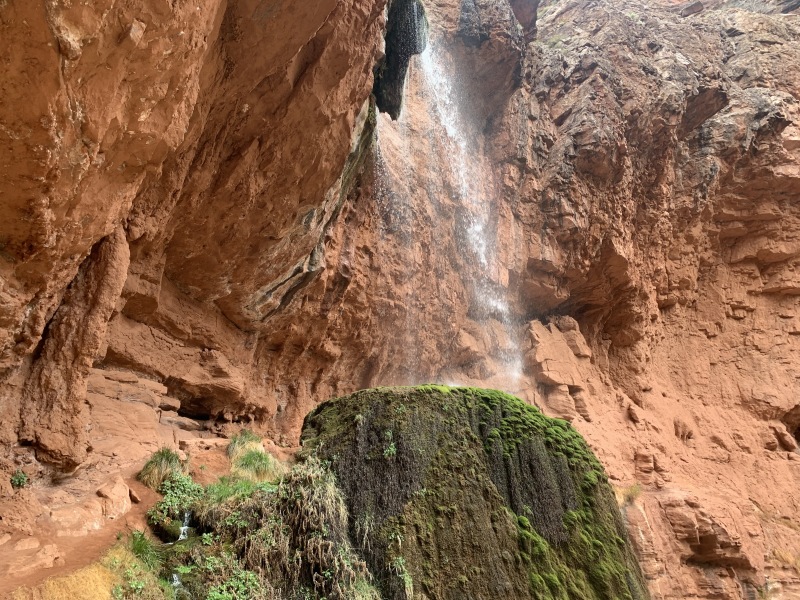 2020/03(March)/Grand-Canyon-Crew-8787/800x600_2020-03-19-Grand-Canyon-Crew8787-025-Ribbon-Falls.JPG