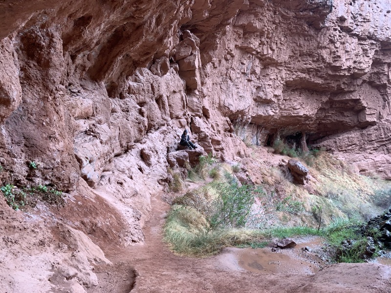 2020/03(March)/Grand-Canyon-Crew-8787/800x600_2020-03-19-Grand-Canyon-Crew8787-049-Ribbon-Falls-Addison.JPG