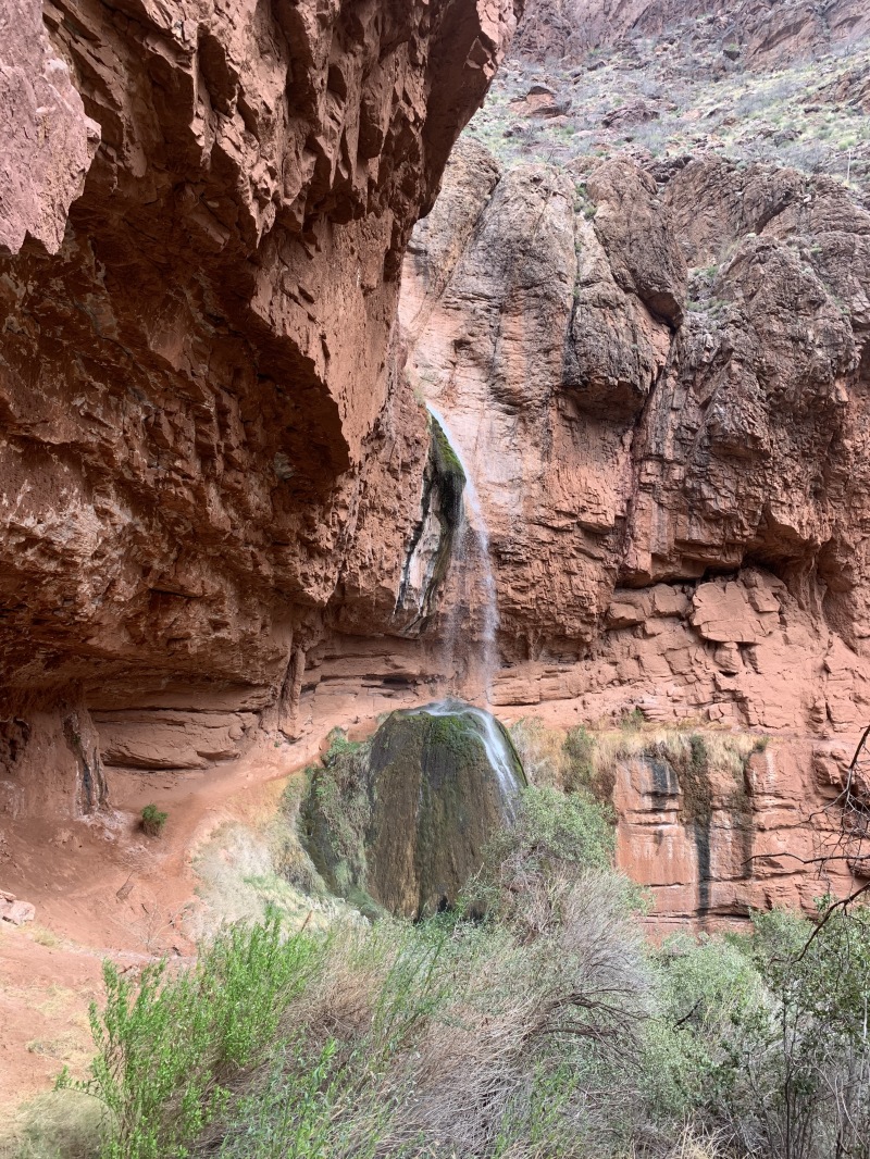 2020/03(March)/Grand-Canyon-Crew-8787/800x600_2020-03-19-Grand-Canyon-Crew8787-082-Ribbon-Falls.JPG
