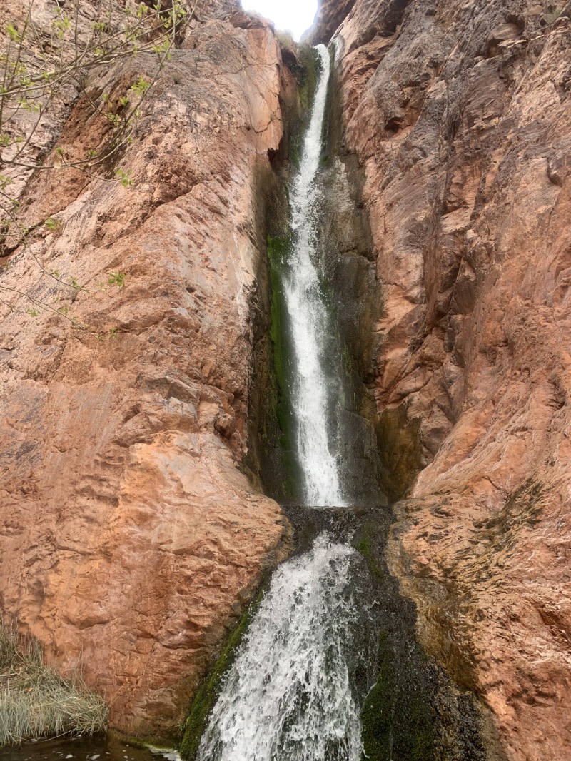 2020/03(March)/Grand-Canyon-Crew-8787/800x600_2020-03-19-Grand-Canyon-Crew8787-106-Upper-Ribbon-Falls.JPG