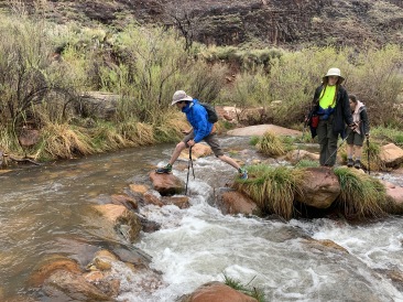 2020-03-19-Grand-Canyon-Crew8787-016-crossing-stream-to-ribbon-falls-Dax-Izzy-Addison-GOOD.JPG