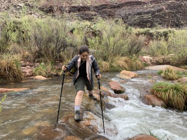 2020-03-19-Grand-Canyon-Crew8787-021-crossing-stream-to-ribbon-falls-Addison.JPG