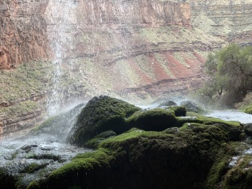 2020-03-19-Grand-Canyon-Crew8787-064-Ribbon-Falls.JPG