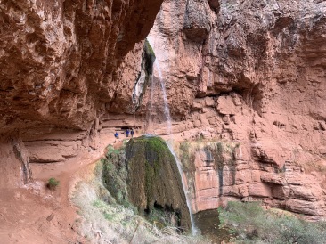 2020-03-19-Grand-Canyon-Crew8787-081-Ribbon-Falls-Dax.JPG