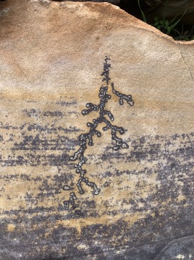 2020-03-19-Grand-Canyon-Crew8787-107.JPG