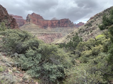 2020-03-19-Grand-Canyon-Crew8787-110.JPG