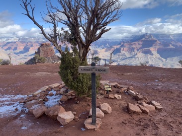 2020-03-20-Grand-Canyon-Crew8787-57-Cedar-Ridge.JPG