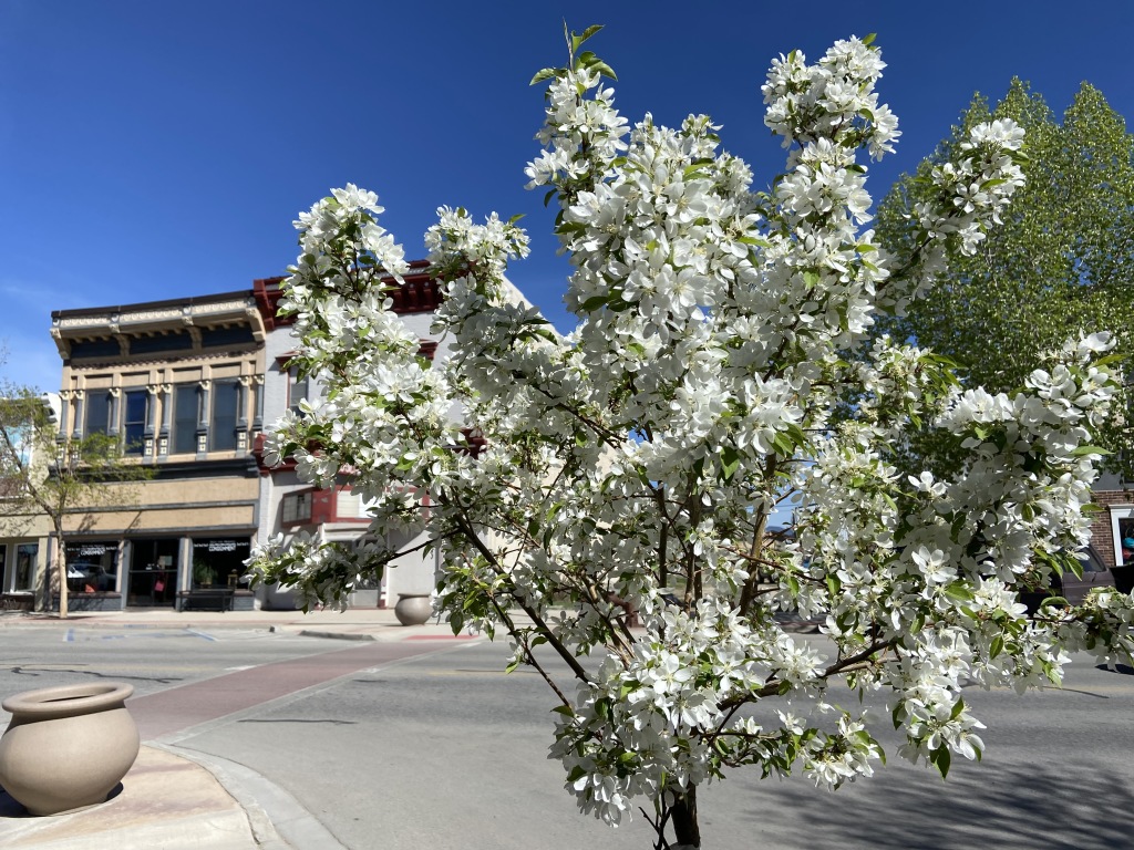 2020-05-17-Colorado-Buena-Vista-03.JPG