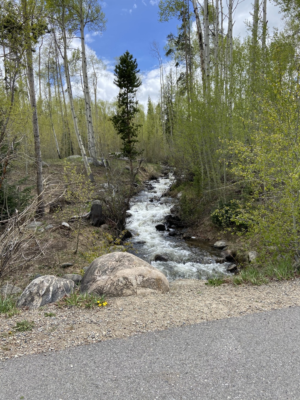 2020/05(May)/Colorado/1024x768_2020-05-27-Colorado-07-bike-path.JPG