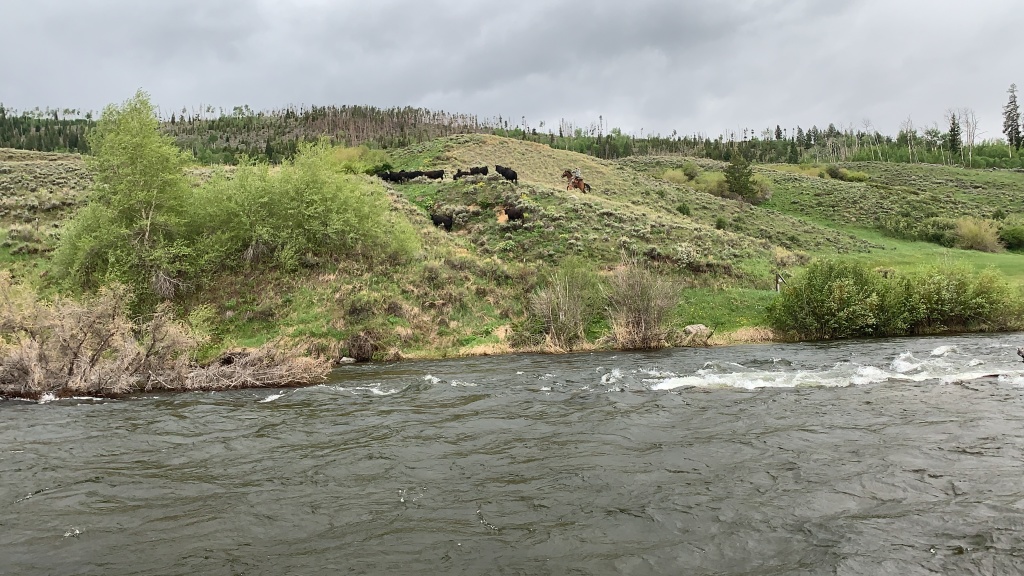 2020-06-06-Colorado-04-fishing-cowboy-wrangler.JPG