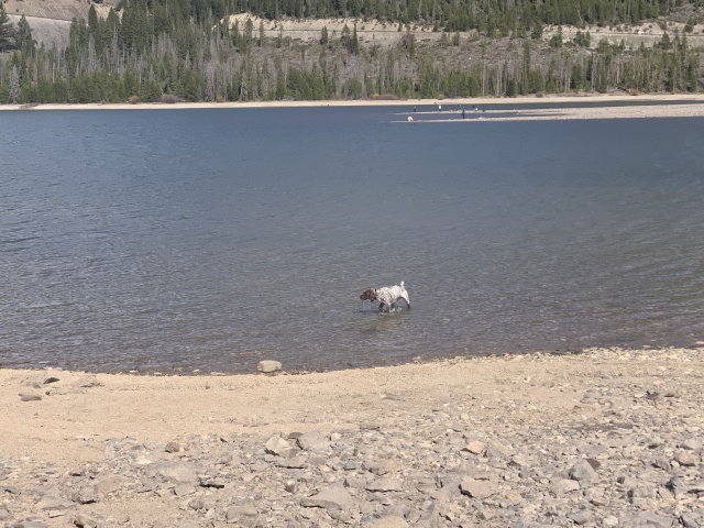 2020/05(May)/Colorado/640x480_2020-05-10-Colorado-28-Blaze.JPG