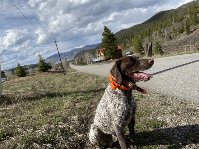 2020/05(May)/Colorado/640x480_2020-05-12-Colorado-04-Blaze.JPG