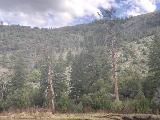 2020/05(May)/Colorado/640x480_2020-05-12-Colorado-15.JPG