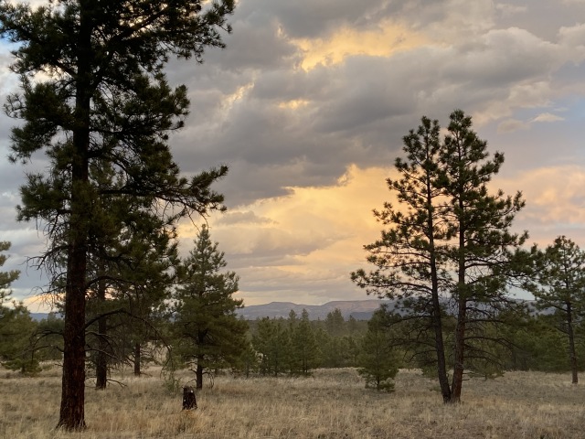 2020-05-15-Colorado-Salida-36.JPG