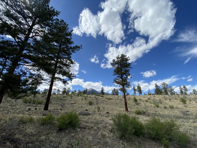 2020/05(May)/Colorado/640x480_2020-05-16-Colorado-Salida-23.JPG