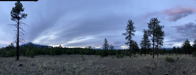 2020/05(May)/Colorado/640x480_2020-05-16-Colorado-Salida-32.JPG