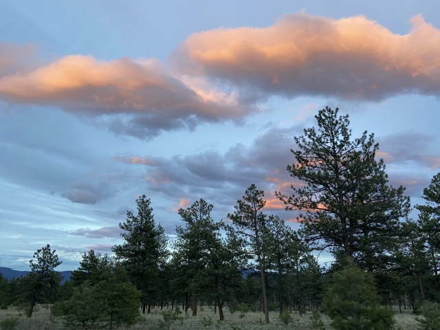2020/05(May)/Colorado/640x480_2020-05-16-Colorado-Salida-34.JPG