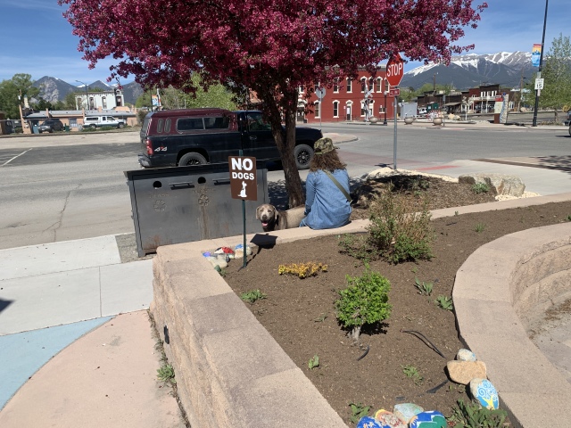 2020-05-17-Colorado-Buena-Vista-04-NO-DOGS-Hanz-Angie.JPG